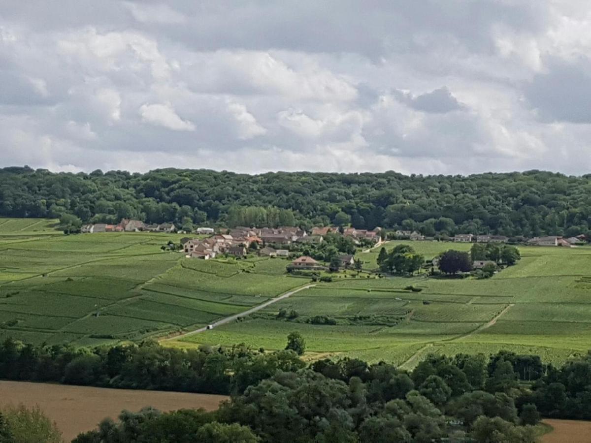 Le Domaine De L Etang Le Merger Oeuilly Buitenkant foto
